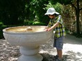 Along the shaded walls of the Alcazar were cool gardens and fountains. The kids took full advantage of each.
