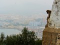 Our first Barbary macaque was spotted at the Moorish Castle on Willis' Road.