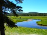 This is the Firehole River near the Norris Ranger Station.