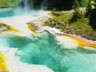 West Thumb is home to the most amazing little geysers and springs.