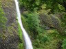 Horsetail Falls along the Scenic Columbia Gorge Road.