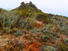 The colorful hills of Point Lobos SNR.