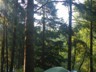Our camp in the rain forest at Beverly Beach.