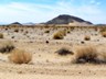 The middle of Mojave National Preserve. 
