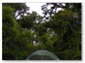 Our campsite at Panama City Beach's Raccoon River Campground.
