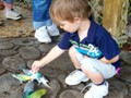 Andrew feeds some parakeets.