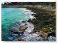The rocky shoreline and tide pools at the Costa Maya pier.
