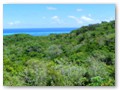 The ridge in the middle of Roatan affords some nice views of the Caribbean.