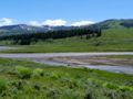 The Lamar Valley of Yellowstone NP.