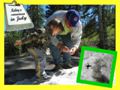 Building a snowman in July in Yellowstone's Hayden Valley.