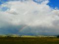 We drove through storms and bugs in northern Montana.