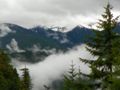 The Olympic rain forests south of Port Angeles.