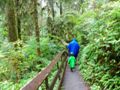 Exploring the Quinalt Rain Forest for the first time in 7 years.