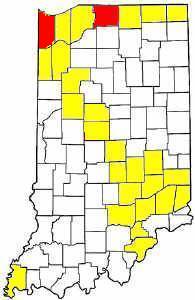 indiana.jpg (13585 bytes)